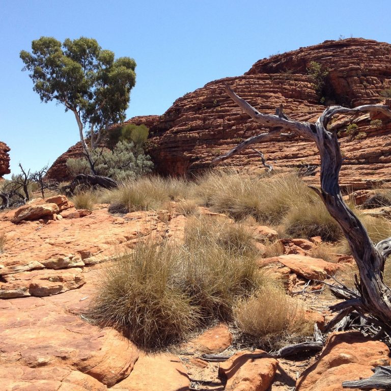 Whispers of the Outback The Timeless Tales of Red Rock Canyons