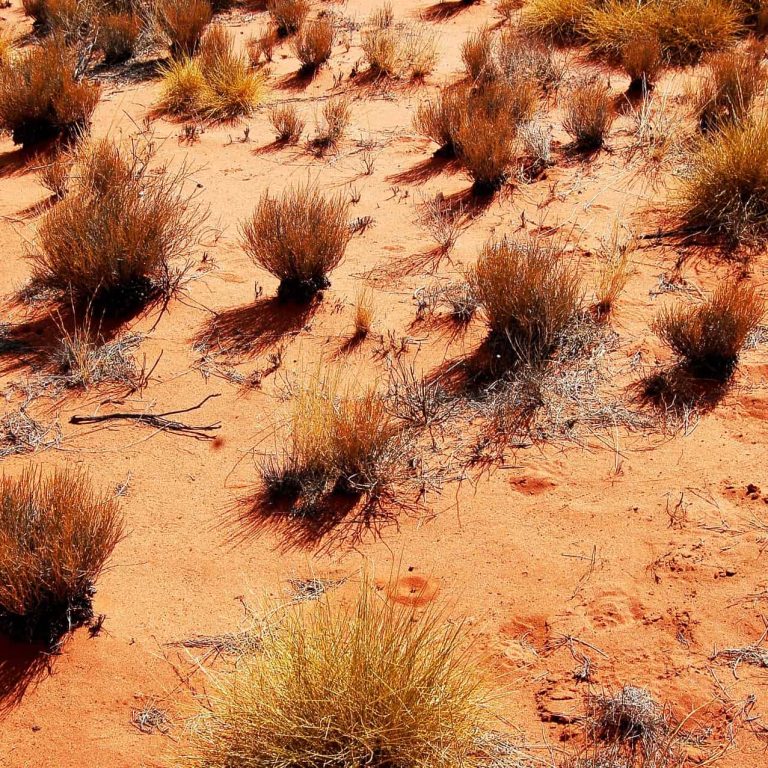 Ancient Whispers of the Outback A Journey Through Time in the Red Earth