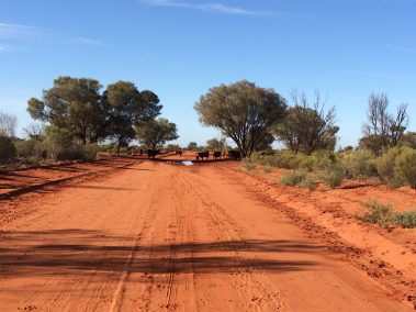 Outback Odyssey A Journey on Australia's Red Roads