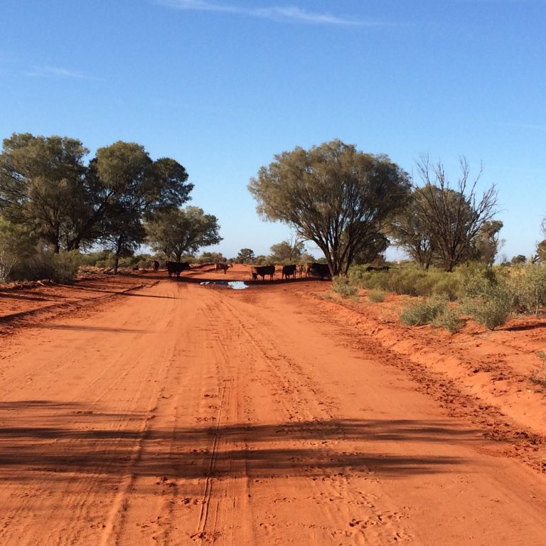 Outback Odyssey A Journey on Australia's Red Roads