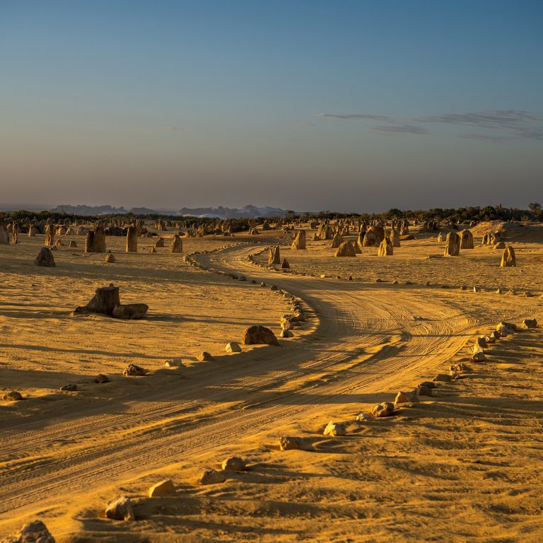 Pinnacles Desert Exploring Western Australia's Time-Carved Wonders,