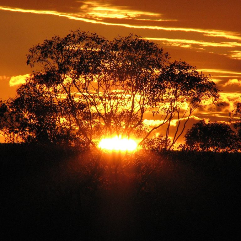 The Golden Veil An Ode to the Australian Sunset